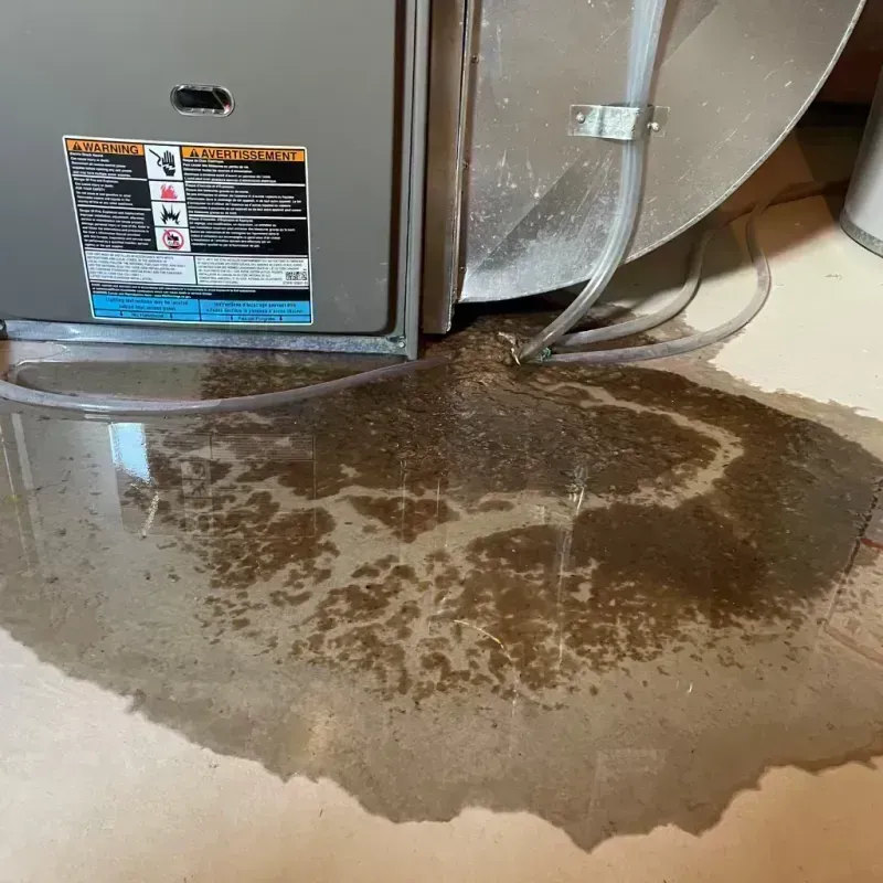 Appliance Leak Cleanup in Munfordville, KY